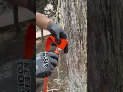 ¡Desata tu espíritu aventurero con nuestras Navajas de Bolsillo!