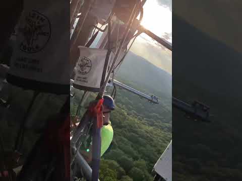 La organización de tus herramientas a esas alturas se vuelve imprescindible.