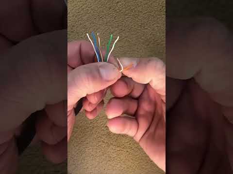 Haciendo lo suyo @ lukesparky