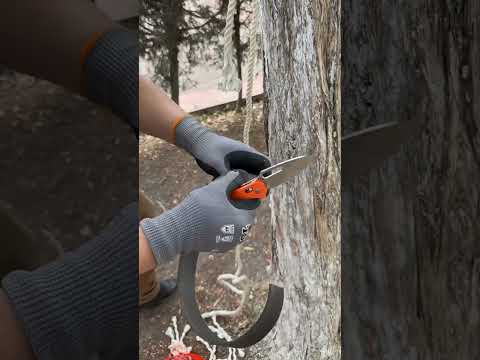 ¡Desata tu espíritu aventurero con nuestras NUEVAS Navajas de Bolsillo! Forjadas en acero D2.