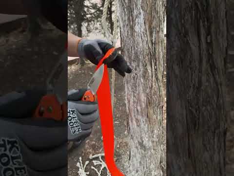 ¡Desata tu espíritu aventurero con nuestras NUEVAS Navajas de Bolsillo! Forjadas en acero D2