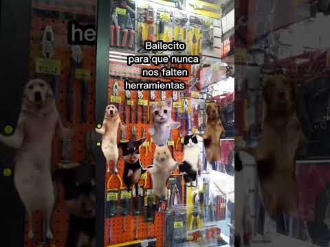 ¡Que nunca falten herramientas!